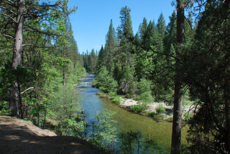 Man kan lære at elske naturen