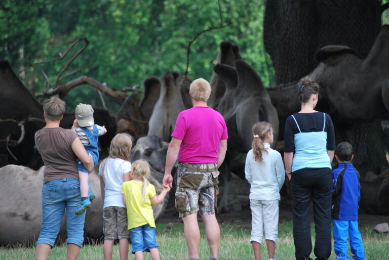 Store oplevelser på cykel:  Knuthenborg Park og Camp Adventure