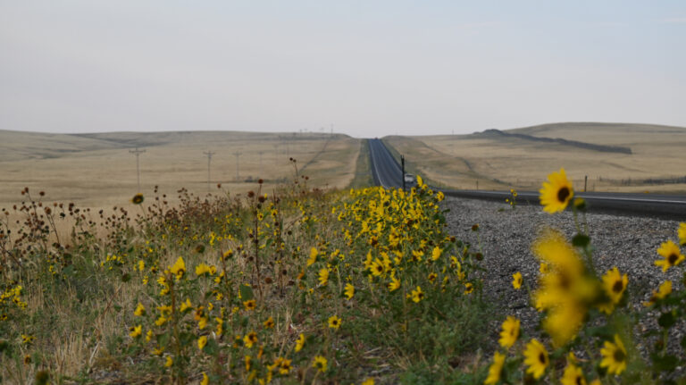 Inspiration til dine drømme om et roadtrip