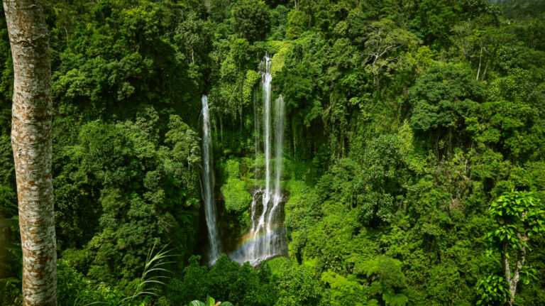 Oplevelser på Bali – templer ved vandet og storslået natur
